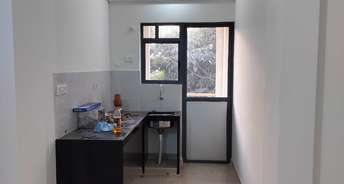 2 BHK Apartment For Rent in Gahunje Pune 6564015