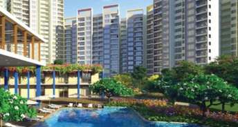 2 BHK Apartment For Resale in Kumar Palm Dew Kondhwa Pune 6564547