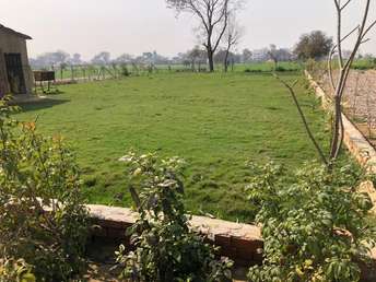 Plot For Resale in Tappal Aligarh  6564984