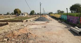  Plot For Resale in Noida Expressway Noida 6565068