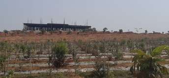 Plot For Resale in Shadnagar Hyderabad  6565194