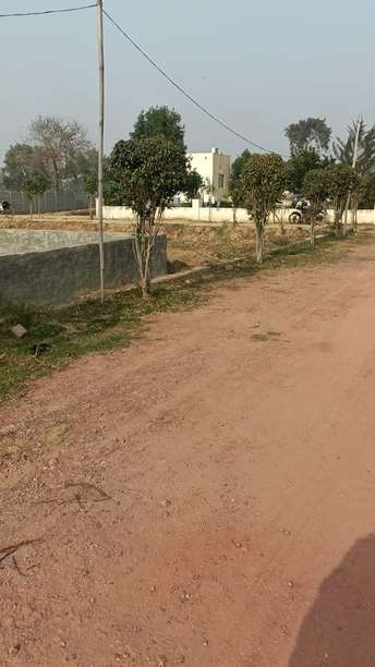  Plot For Resale in Sector 72a Gurgaon 6565273