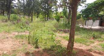  Plot For Resale in Sector 72a Gurgaon 6565275