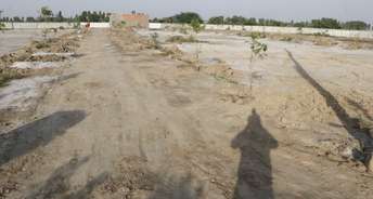 Commercial Land 200 Sq.Ft. For Resale In Chhata Mathura 6565290