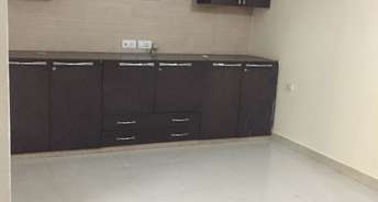 3 BHK Builder Floor For Rent in Sector 10a Gurgaon 6565470