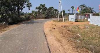  Plot For Resale in Agiripalli Vijayawada 6565694