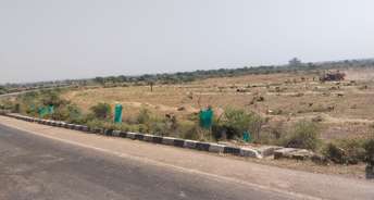 Commercial Land 1003 Sq.Yd. For Resale In Kapashera Delhi 6565148