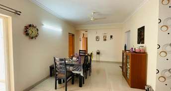 3 BHK Apartment For Rent in Divyasree Elan Sarjapur Bangalore 6565708