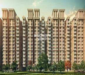 2 BHK Apartment For Rent in Signature Global The Millennia Phase 1 Sector 37d Gurgaon  6566106