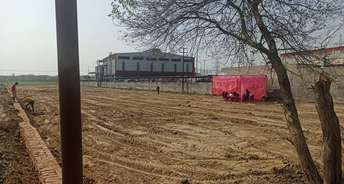  Plot For Resale in Greater Noida Authority Plots Yex Sector 24 Greater Noida 6566694