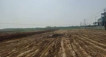  Plot For Resale in YEIDA Yamunotri Houses Yex Sector 22d Greater Noida 6566751