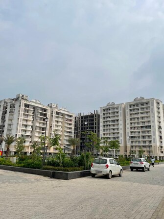 4 BHK Apartment For Resale in Motia Blue Ridge Dhakoli Village Zirakpur  6566936