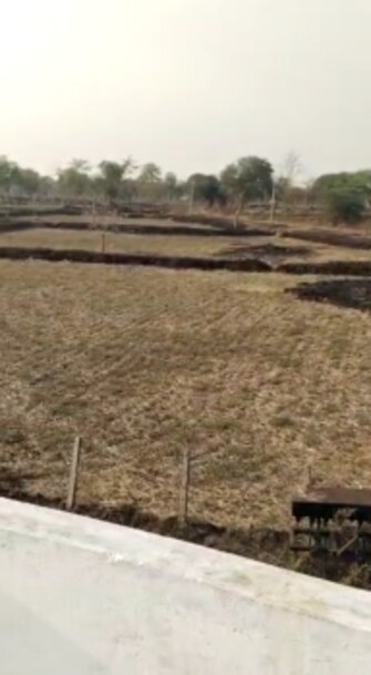 Plot For Resale in Borsi Colony Durg  6567488