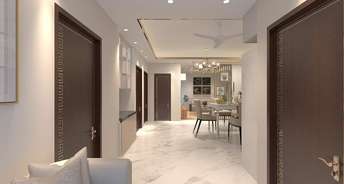 3 BHK Builder Floor For Rent in Krishna Nagar Delhi 6567542