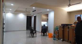 4 BHK Builder Floor For Rent in East of Kailash A Block RWA East Of Kailash Delhi 6567826
