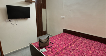 1 BHK Independent House For Rent in Patiala Road Zirakpur 6567829