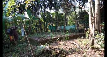  Plot For Resale in Shoranur Palakkad 6568145