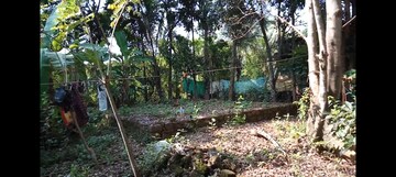  Plot For Sale in Shoranur