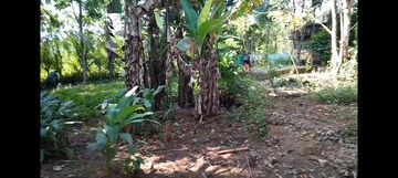 Plot Area in  Plot at Shoranur – for Sale