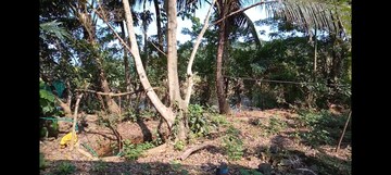 Plot Area in  Plot at Shoranur – for Sale