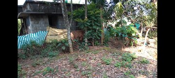 Plot Area in  Plot at Shoranur – for Sale