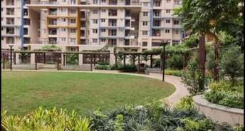 3 BHK Apartment For Rent in Salarpuria Sattva East Crest Old Madras Road Bangalore 6568752