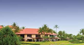  Plot For Resale in Godrej Golf Meadows Khanavale Navi Mumbai 6568707