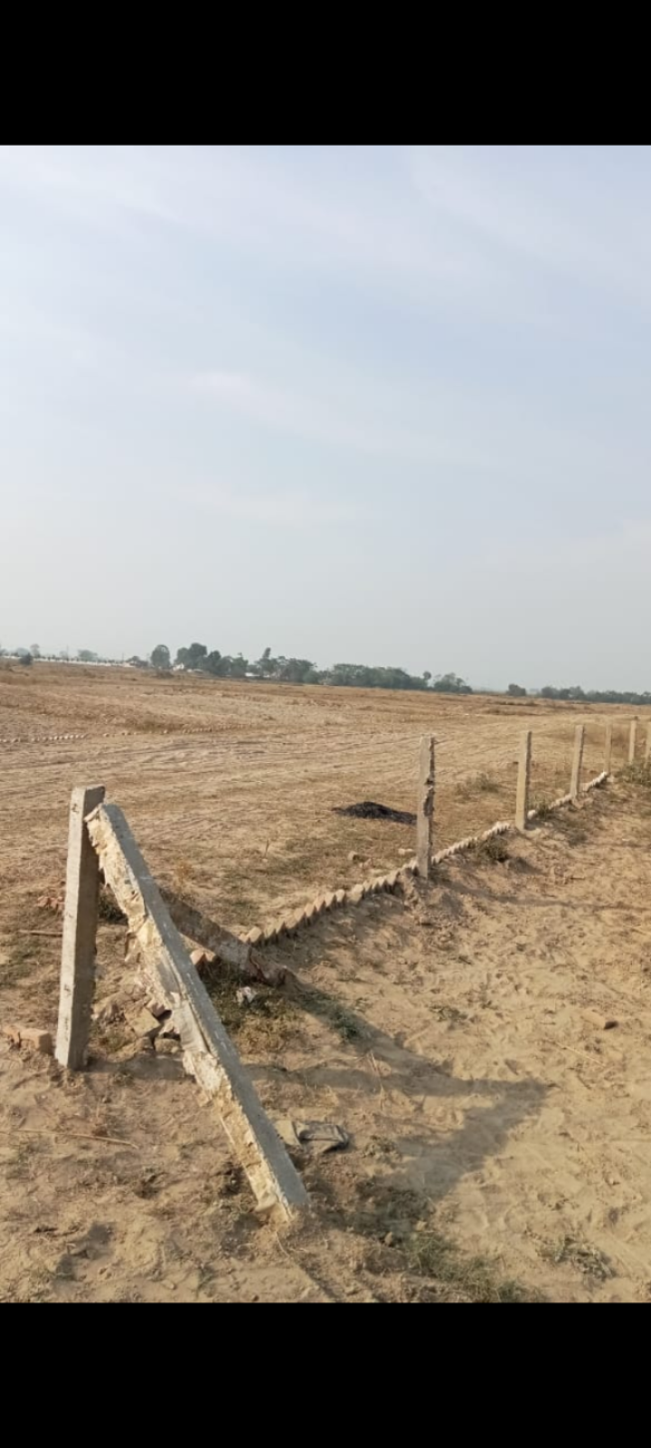 Plot For Resale in Maniram Gorakhpur  6569590