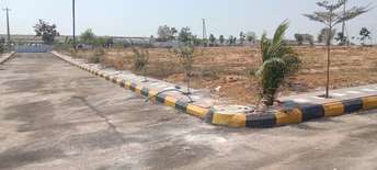  Plot For Resale in New Mallepally Hyderabad 6569804