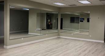 Commercial Showroom 15000 Sq.Ft. For Rent In Pitampura Delhi 6570066