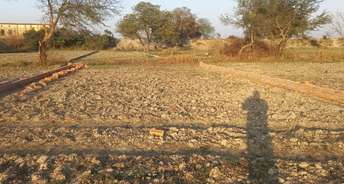  Plot For Resale in Ayodhya Faizabad 6570122