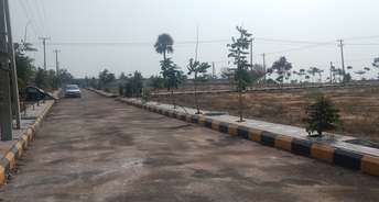  Plot For Resale in St Johns Road Hyderabad 6570148