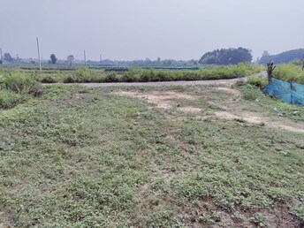 Plot For Resale in Kisan Path Lucknow  6570616