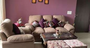 4 BHK Apartment For Rent in Tulip Purple Sector 69 Gurgaon 6570780