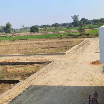 Plot For Resale in Safedabad Lucknow  6570801