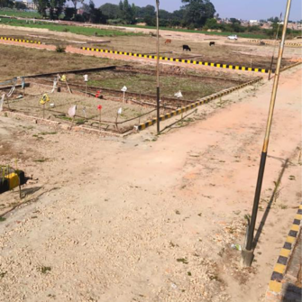 Plot For Resale in Safedabad Lucknow  6570801