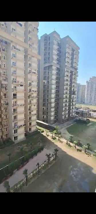 2 BHK Apartment For Resale in VIctoryone Amara Noida Ext Sector 16 Greater Noida  6570955