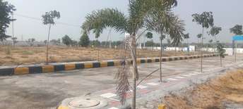  Plot For Resale in Pragathi Nagar Hyderabad 6570975