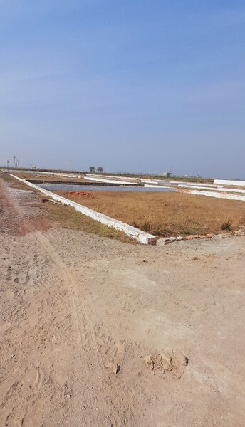 Plot For Resale in Jewar Greater Noida  6571102