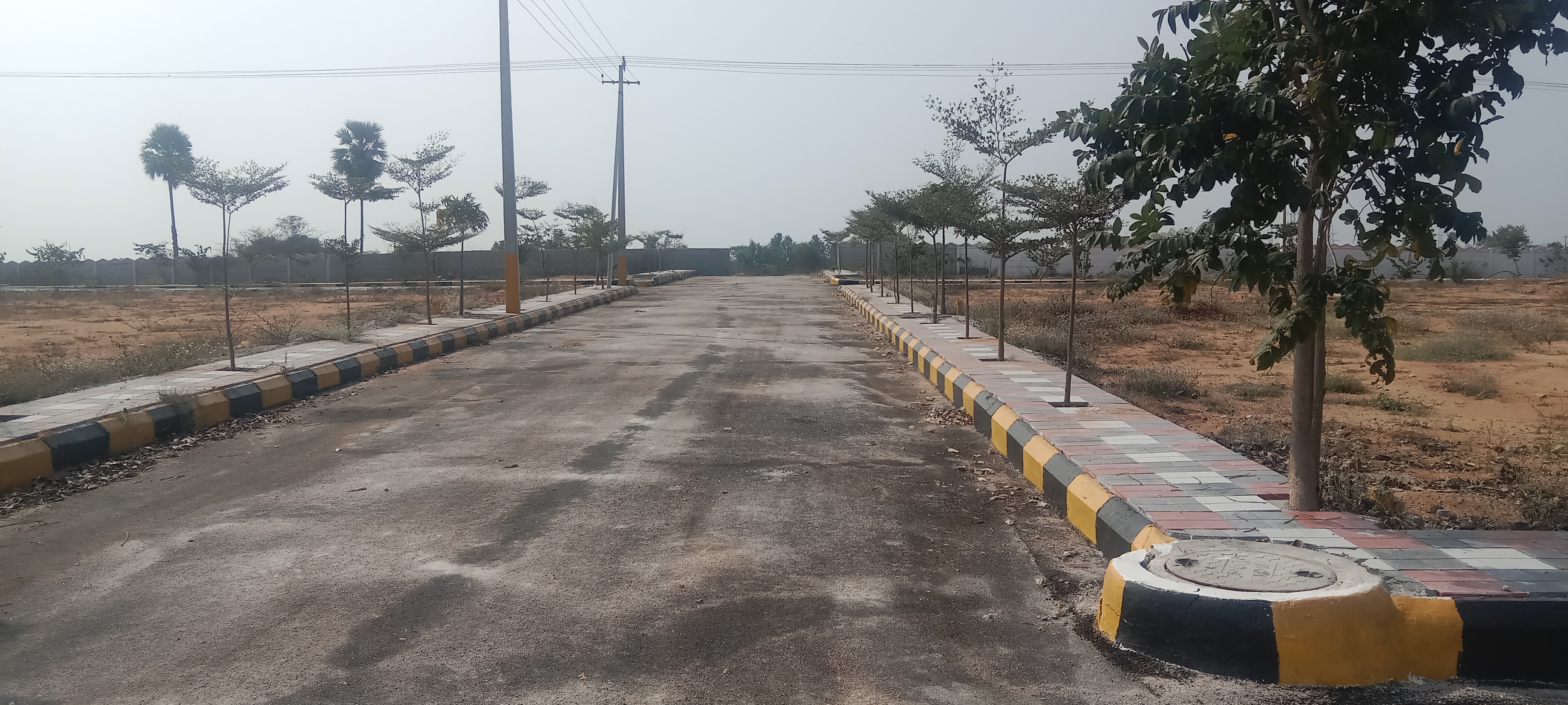 Plot For Resale in Bhel Hyderabad  6571101