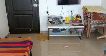 2 BHK Apartment For Rent in Gulmohar Renaissance Wagholi Pune 6571410
