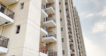 2 BHK Apartment For Rent in Tulsiani Easy In Homes Sohna Sector 35 Gurgaon 6571553