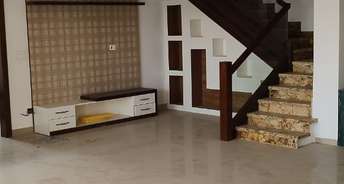 4 BHK Penthouse For Rent in Logix Blossom County Sector 137 Noida 6571868