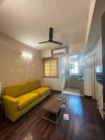 1 BHK Apartment For Rent in Paras Tierea Sector 137 Noida 6571934