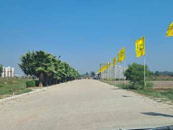  Plot For Resale in Sector 20 Panchkula 6572131