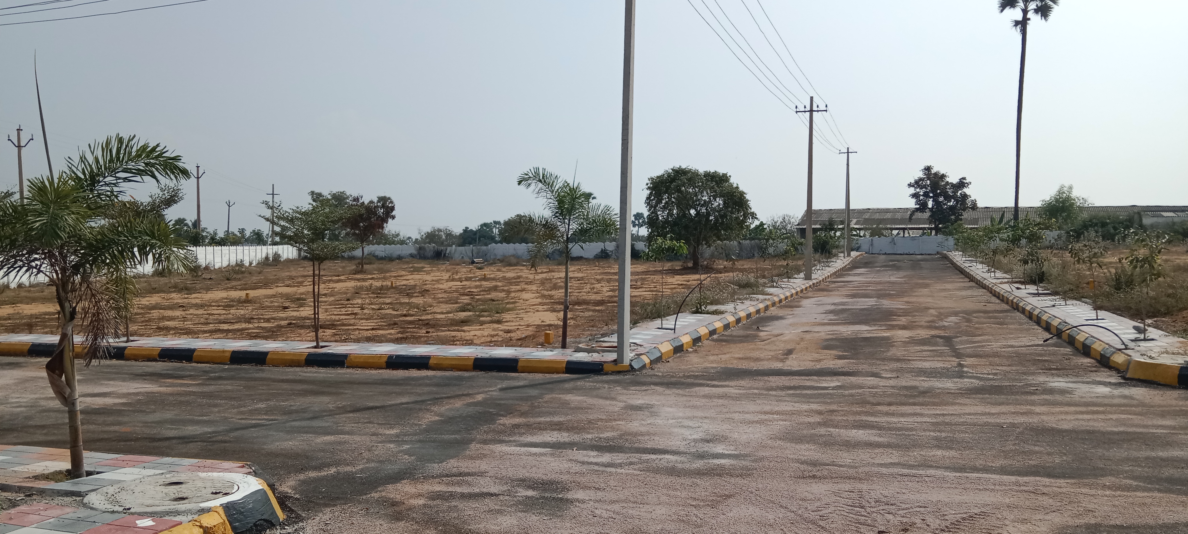  Plot For Resale in Puppalaguda Hyderabad 6572266