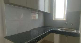 2 BHK Apartment For Rent in RWA Greater Kailash 2 Greater Kailash ii Delhi 6572467