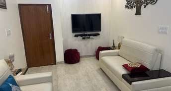 3 BHK Apartment For Rent in Housing Board Colony Sector 17 Sector 17a Gurgaon 6572640