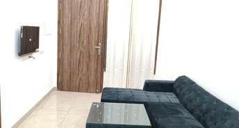 2 BHK Builder Floor For Rent in Sohna Sector 30 Gurgaon 6572839