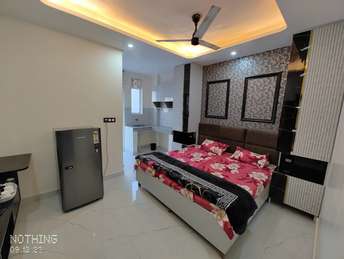 1 RK Apartment For Rent in Dlf City Phase 3 Gurgaon  6573170
